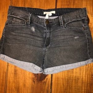 BCBG Denim Shorts